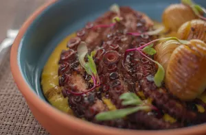 Deliciously plated gourmet octopus with creamy polenta and roasted potatoes. jigsaw puzzle