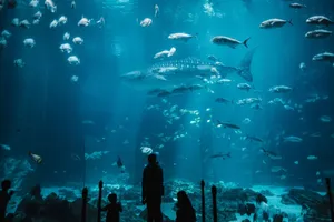 Silhouetted figures watching sharks and fish in an immersive aquarium setting. jigsaw puzzle