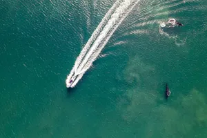 A motorboat speeds through ocean waters as whales swim nearby, captured from above. jigsaw puzzle