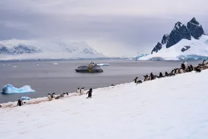 Penguins gather on snowy Antarctic coast with a cruise ship on icy waters. jigsaw puzzle