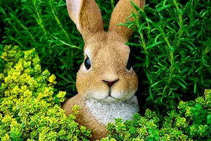 Adorable brown rabbit nestled among vibrant green plants, showcasing nature's beauty. jigsaw puzzle
