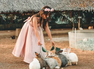 Young girl in a pink dress feeds rabbits in a sunny outdoor setting. jigsaw puzzle