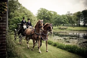 A classic horse-drawn carriage traverses a serene park landscape, ideal for countryside adventures. jigsaw puzzle