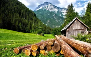 A scenic view of a wooden cabin against lush mountains and forest. jigsaw puzzle