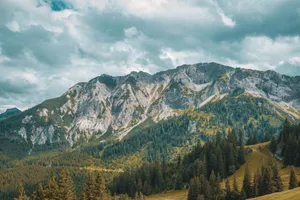 Breathtaking view of the Alps with lush forests and rugged peaks under cloudy skies. jigsaw puzzle