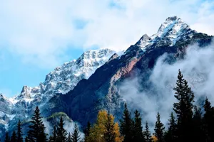 Scenic view of snow-capped mountains with mist and trees in the foreground, perfect for nature lovers. jigsaw puzzle