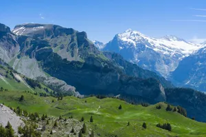 Breathtaking summer landscape of the Swiss Alps with green meadows and snowy peaks. jigsaw puzzle