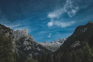 Picturesque view of rough rocky mountain range with coniferous forest under blue sky jigsaw puzzle