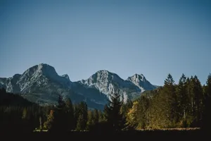 Beautiful view of rugged mountains and lush pine forest under clear blue sky. jigsaw puzzle