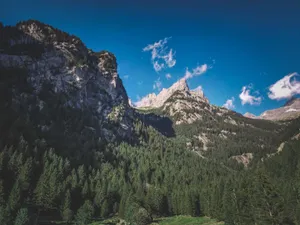 Stunning mountain scenery with lush forest and rocky peaks under a clear blue sky. jigsaw puzzle