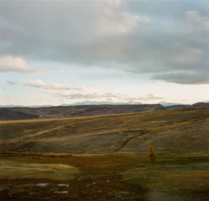 Expansive landscape under overcast sky featuring a single tree in an open field. jigsaw puzzle