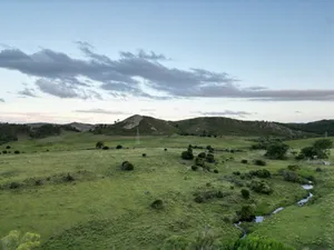 A serene landscape featuring rolling green hills, pastures, and a clear sky at dusk, ideal for nature lovers. jigsaw puzzle