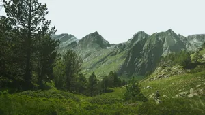 Stunning landscape depicting a lush meadow against a backdrop of a majestic mountain range. jigsaw puzzle
