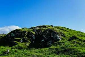 A vibrant grassy hill against a clear blue sky, capturing the essence of nature. jigsaw puzzle