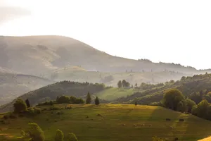 Peaceful early morning view of misty hills and lush forests in a serene landscape. jigsaw puzzle