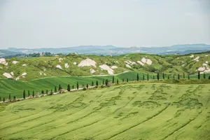 Scenic view of lush green hills and iconic cypress trees in Tuscany. jigsaw puzzle