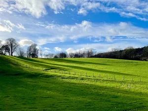 Expansive green meadow with a fence under a vibrant blue sky, ideal for serene landscape concepts. jigsaw puzzle