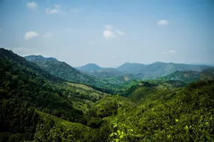 Explore the lush, rolling hills of Colombia's Andes, captured in this breathtaking mountain landscape photo. jigsaw puzzle