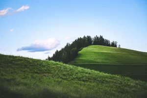 Peaceful green hills and trees under a clear blue sky in a rural summer setting. jigsaw puzzle