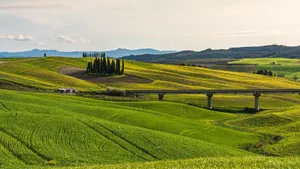 Beautiful landscape of rolling hills and Cypress trees in Tuscany. jigsaw puzzle