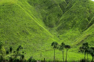Vibrant green hills with sparse trees create a serene and natural landscape scene. jigsaw puzzle
