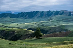 Stunning green landscapes of Xinjiang with hills and valleys under a cloudy sky. jigsaw puzzle