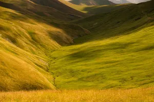 Beautiful rolling green hills under sunlight creating a serene landscape. jigsaw puzzle