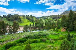 Lush green valley with a stream flowing through it, surrounded by pine trees under a bright blue sky. jigsaw puzzle