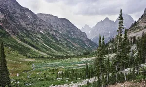 Scenic landscape of a lush green valley in Jackson, Wyoming with towering mountains. jigsaw puzzle