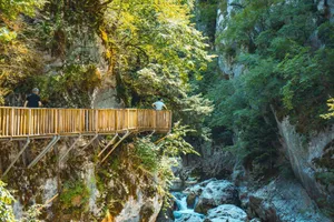 Two people on a wooden bridge in a lush Kastamonu gorge. jigsaw puzzle