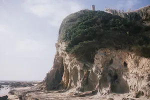 A scenic view of an eroded coastal cliff with greenery under a bright sky. jigsaw puzzle