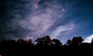 A stunning night sky full of stars visible above a peaceful forest silhouette. jigsaw puzzle