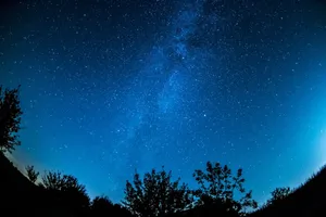 A breathtaking view of a starry night sky over a silhouetted forest, showcasing the Milky Way. jigsaw puzzle