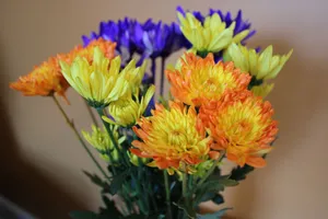Close-up of a colorful chrysanthemum bouquet with orange, yellow, and purple flowers. jigsaw puzzle