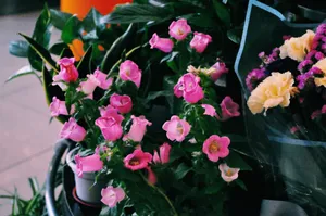 A vivid arrangement of pink and yellow flowers blooming together. Captures the essence of nature's beauty. jigsaw puzzle