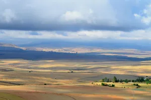 Vast South African landscape with fields under a cloudy sky, showcasing nature's beauty. jigsaw puzzle