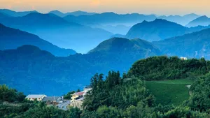 Breathtaking mountain landscape with fog and lush greenery at dawn. jigsaw puzzle