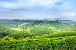 Picturesque scenery of hills and green fields with lush of plantations in countryside under cloudy blue sky on sunny summer day jigsaw puzzle