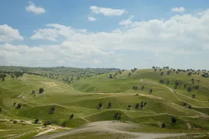A scenic view of rolling green hills with scattered trees under a partly cloudy sky. jigsaw puzzle