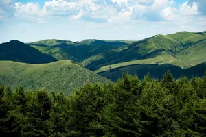 Breathtaking view of rolling green mountains and a lush forest under a bright blue sky. jigsaw puzzle