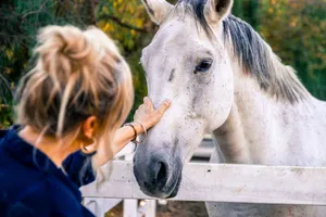 A woman tenderly interacts with a friendly horse at a ranch, showcasing connection and tranquility. jigsaw puzzle