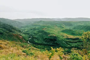 Explore the vibrant green landscapes of Waimea Canyon, Kauai, Hawaii. jigsaw puzzle