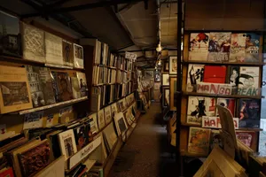 Explore a cozy bookstore filled with art and manga collections in Lucca, Tuscany. jigsaw puzzle