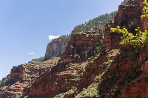 Vivid red cliffs and green foliage under a bright blue sky at Grand Canyon's North Rim. jigsaw puzzle