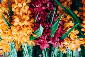 Colorful bunches of orange and red orchids with green leaves on display, creating a vibrant floral scene. jigsaw puzzle