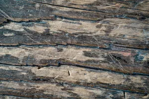Detailed close-up of an old, weathered wooden surface with visible texture. jigsaw puzzle