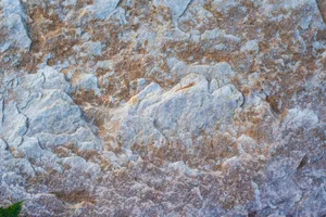 High-resolution image of a natural stone surface showcasing intricate texture and earthy tones. jigsaw puzzle