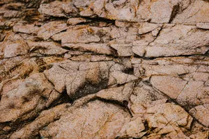 Close-up of textured rock surface showcasing intricate natural patterns and earth tones. jigsaw puzzle