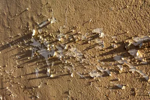Detail of peeling paint on a sunlit textured wall, highlighting shadows. jigsaw puzzle