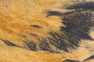 Close-up of ilmenite and yellow sand forming natural abstract patterns on a beach. jigsaw puzzle